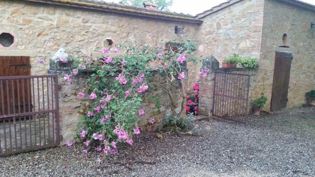 Agriturismo Torrenieri Da Alessandro ปีเอนซา ภายนอก รูปภาพ
