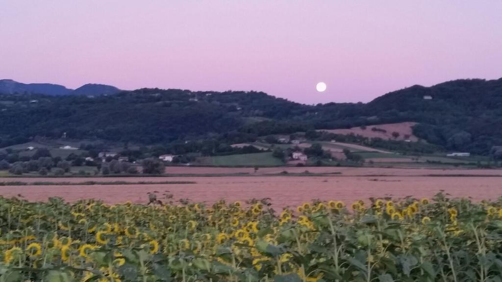 Agriturismo Torrenieri Da Alessandro ปีเอนซา ภายนอก รูปภาพ